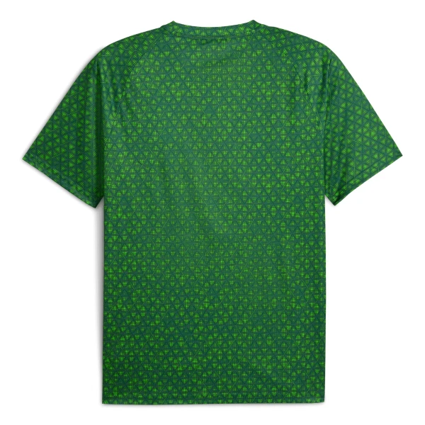 Manchester City Pre-Match Shirt 25/26 Groente