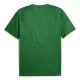 Manchester City Pre-Match Shirt 25/26 Groente