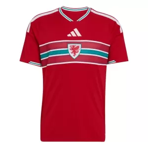 Wales Thuisshirt WK 2026