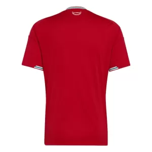 Wales Thuisshirt WK 2026