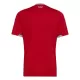 Wales Thuisshirt WK 2026