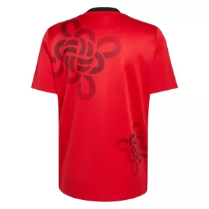Manchester United Cultural Story Shirt 25/26 Speciaal