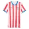 Paraguay Thuisshirt WK 2026