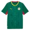 Senegal Uitshirt WK 2026