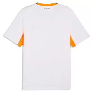 IJsland Uitshirt 2026