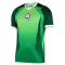Nigeria Thuisshirt 26/27