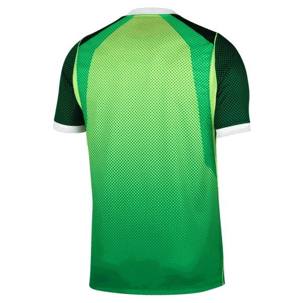 Nigeria Thuisshirt 26/27