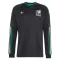 Mexico Derde Shirt WK 2026 Lange Mouwen