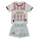 PSV Eindhoven Vierde Tenue Kinderen 25/26 Speciaal PSV Eindhoven Vierde Tenue Kinderen 25/26 Speciaal