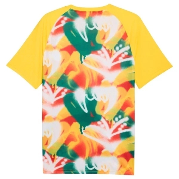 Senegal Pre-Match Shirt WK 2026