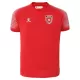 Uitshirt Jordan WK 2026