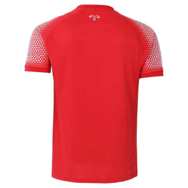 Uitshirt Jordan WK 2026
