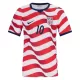 USA Christian Pulišić 10 Thuisshirt WK 2026