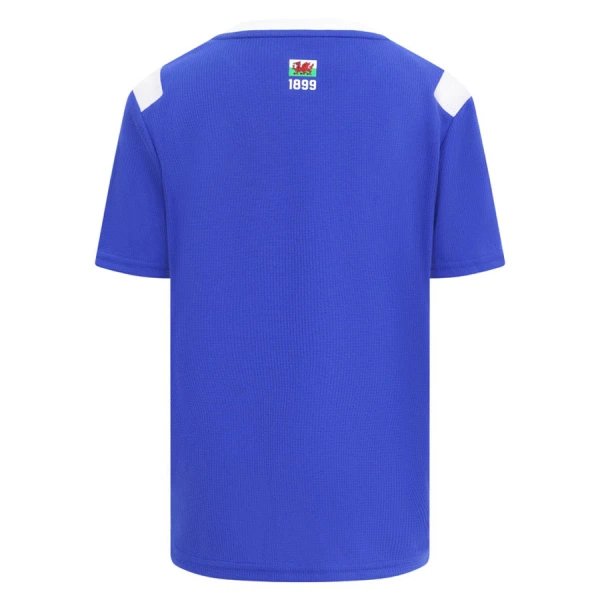 Cardiff City Thuisshirt 26/27
