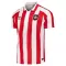 Sunderland Thuisshirt 26/27