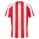 Sunderland Thuisshirt 26/27